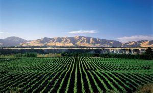 New Zealand